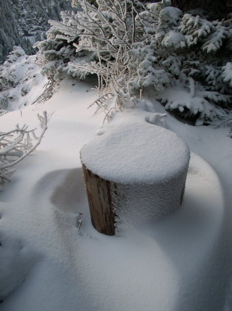 11.27.05 Nesmith Point 107 